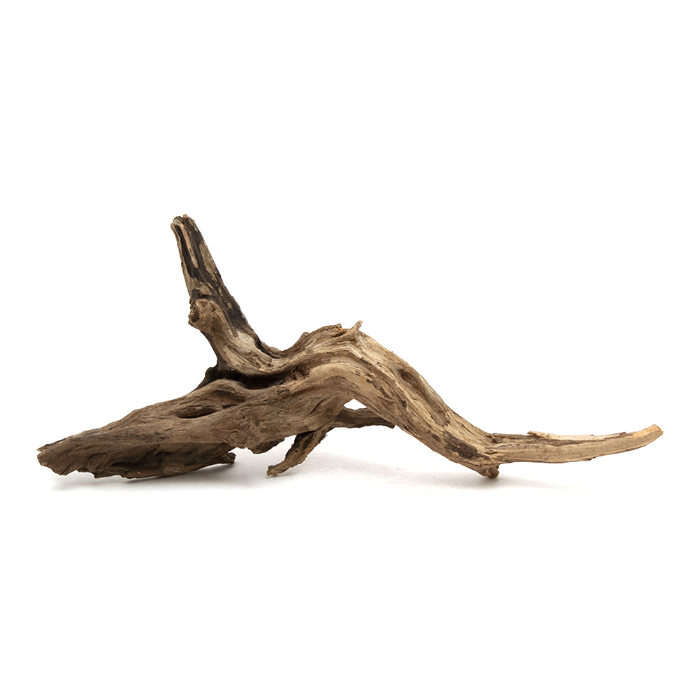 楽天市場】形状お任せ 煮込み済み ディアーホーンウッド Lサイズ（約