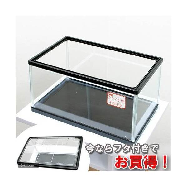 アクリル水槽300蓋付き