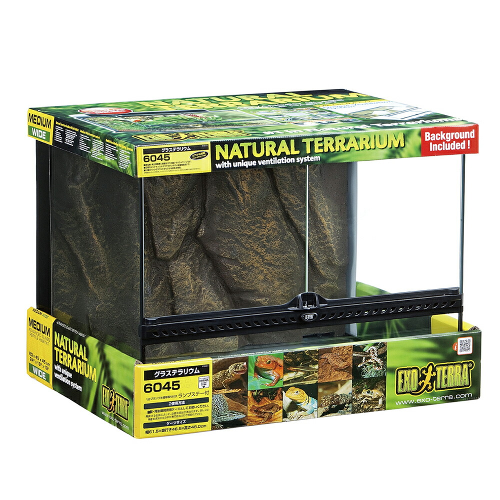 爬虫類ケージ 70×30×30㎝ リクガメ フトアゴ ゲージ 爬虫類ケージ 70