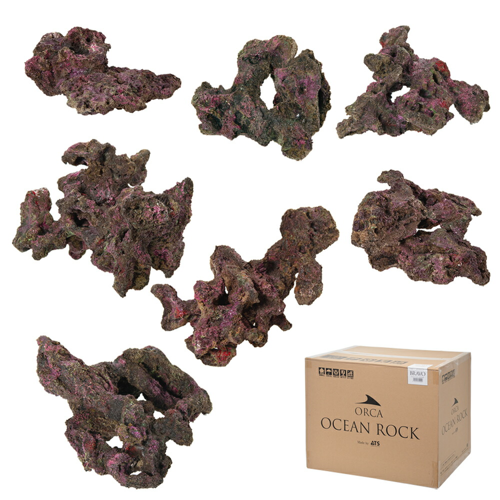 ✐プラグ穴付き 新品 人工ライブロック 60cm海水水槽用 レプリカ 安い3