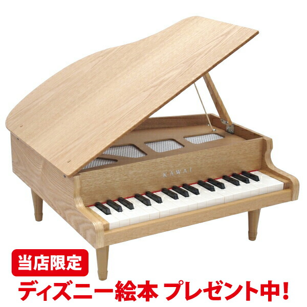 楽天市場】【在庫有 13時迄即日発送可 最短翌日配達】【購入特典有