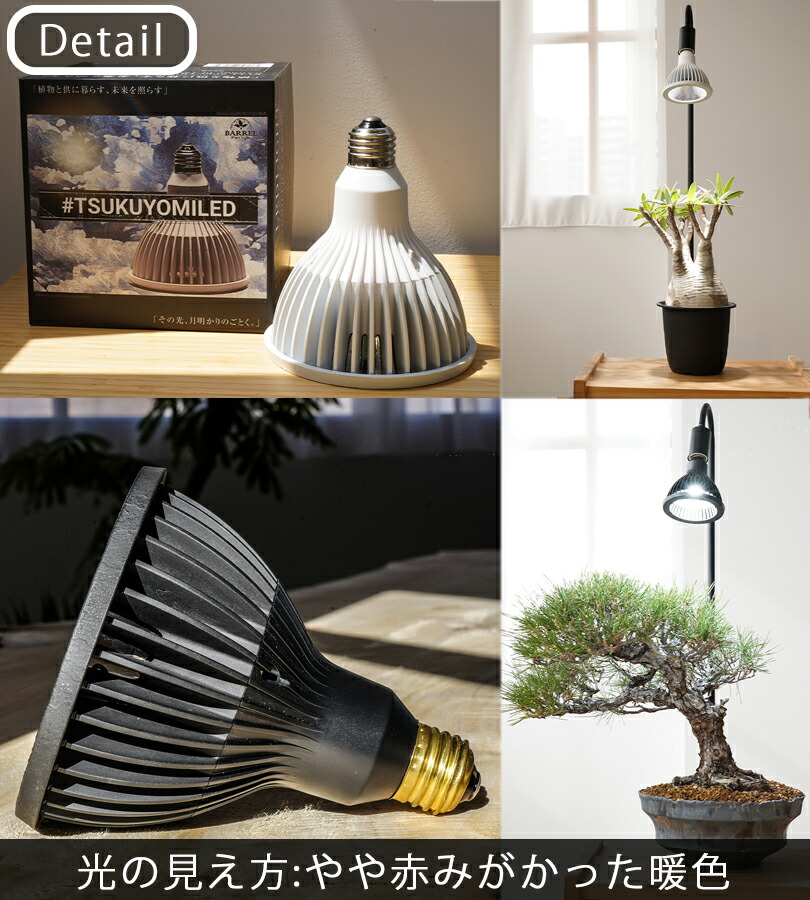 楽天市場】NEO TSUKUYOMI LED 20W 植物 育成 ライト 野菜 観葉植物