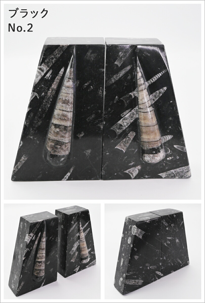 楽天市場】Lサイズ オルソセラス【化石ブックエンド】大理石 ブック