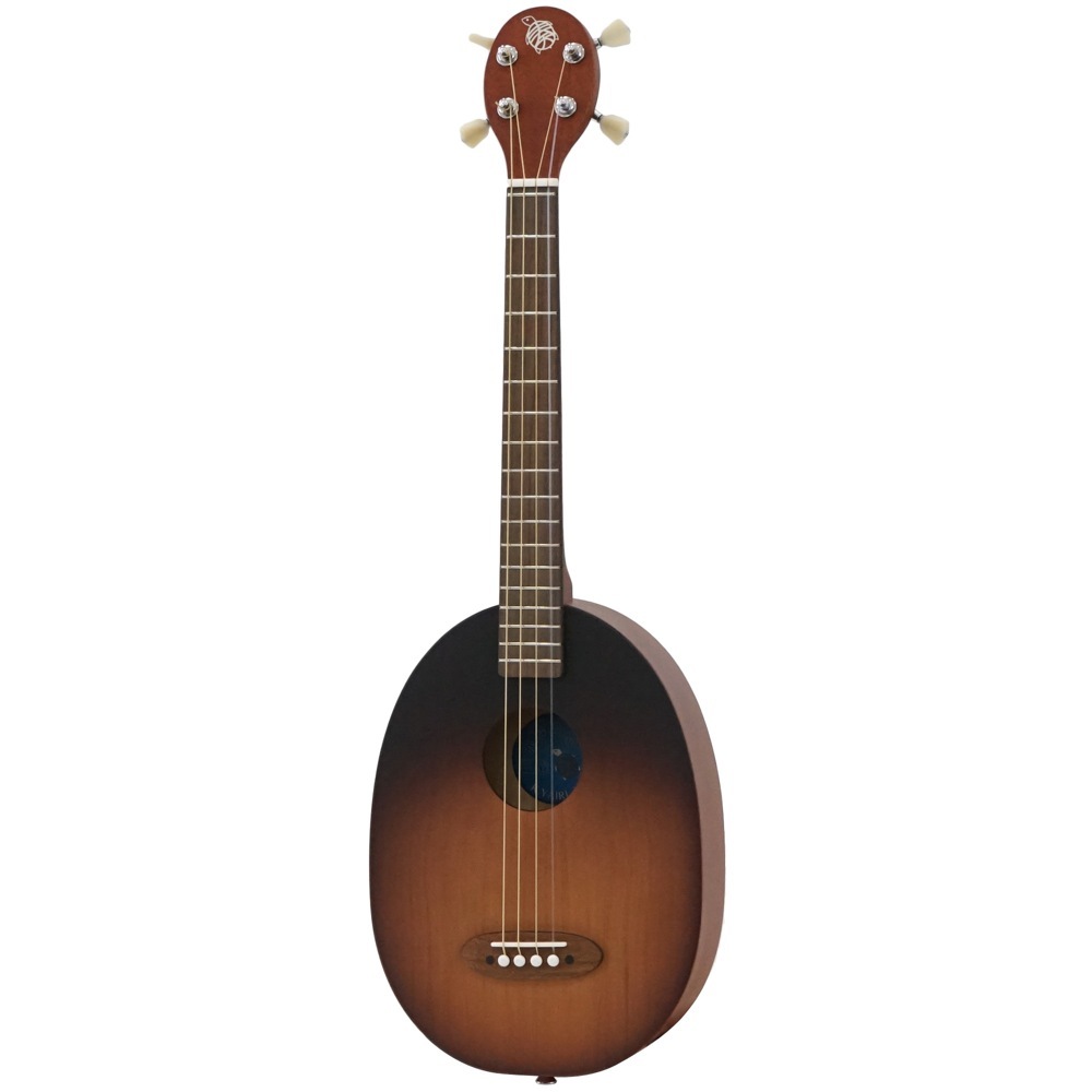 楽器 一五一会 弾き方ビデオ付き 一五一会 楽器」の人気