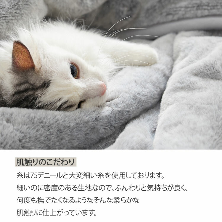 楽天市場】まるで猫のようなモフモフブランケット （猫Feel） 吸湿発熱