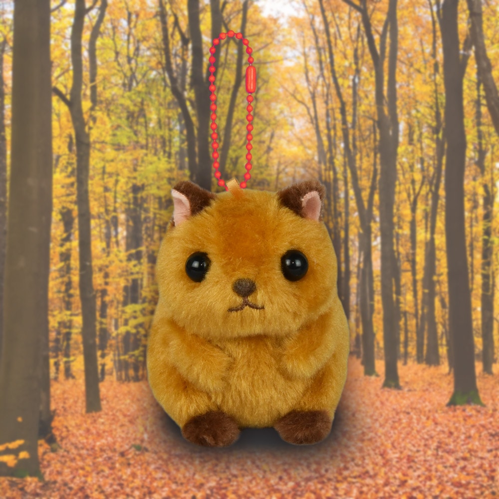 DAY6 プチデ二マルズ マスコット 人形 ドール キーホルダー リス服