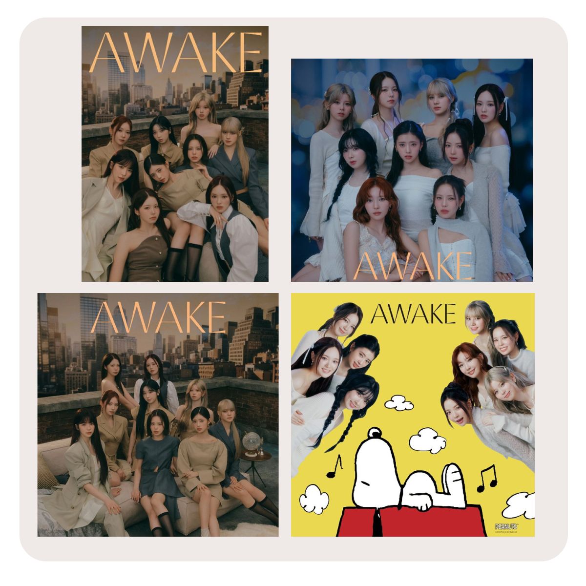 NiziUメンバー直筆サイン入り「RISE UP」ステッカー（抽選5名様