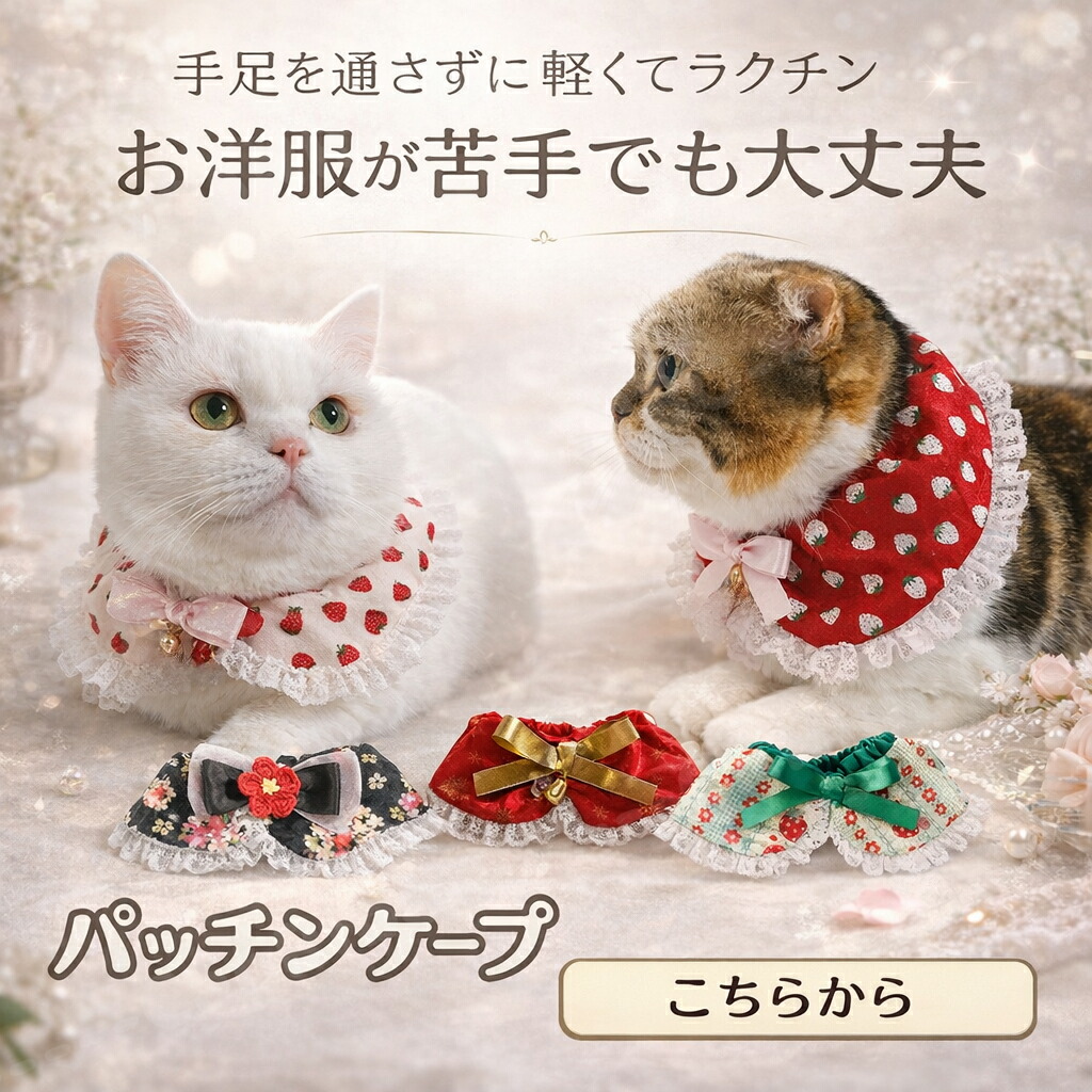 楽天市場】手編み 猫 首輪【つけ襟 クリスマス カラー】猫用 猫用首輪
