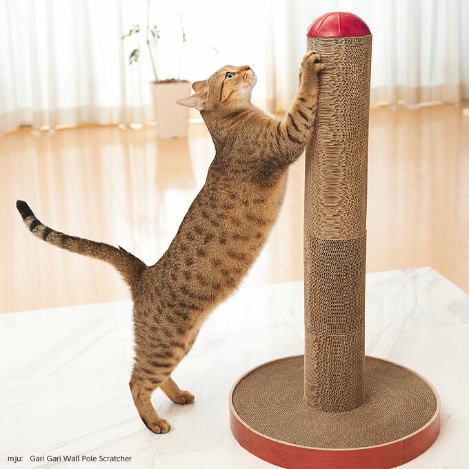 楽天市場】【総額300万ポイント獲得チャンス□要エントリー】爪とぎ 爪