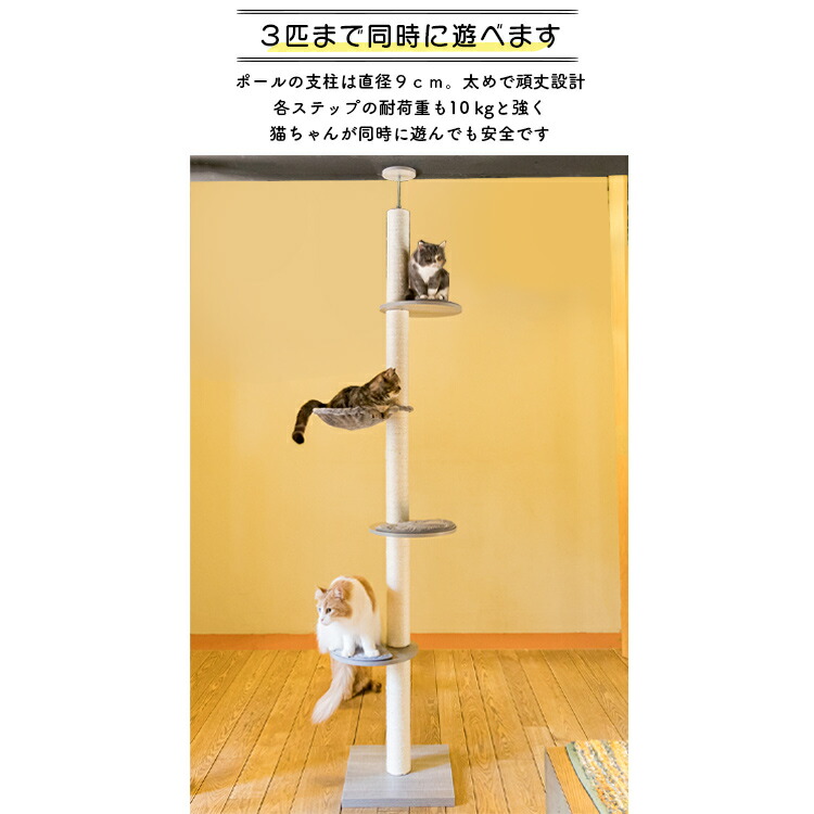 楽天市場】キャットタワー 突っ張り 爪とぎ スリム 省スペース