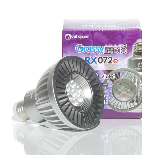 楽天市場】ボルクスジャパン・Grassy LeDio RX072e Violetグラッシー