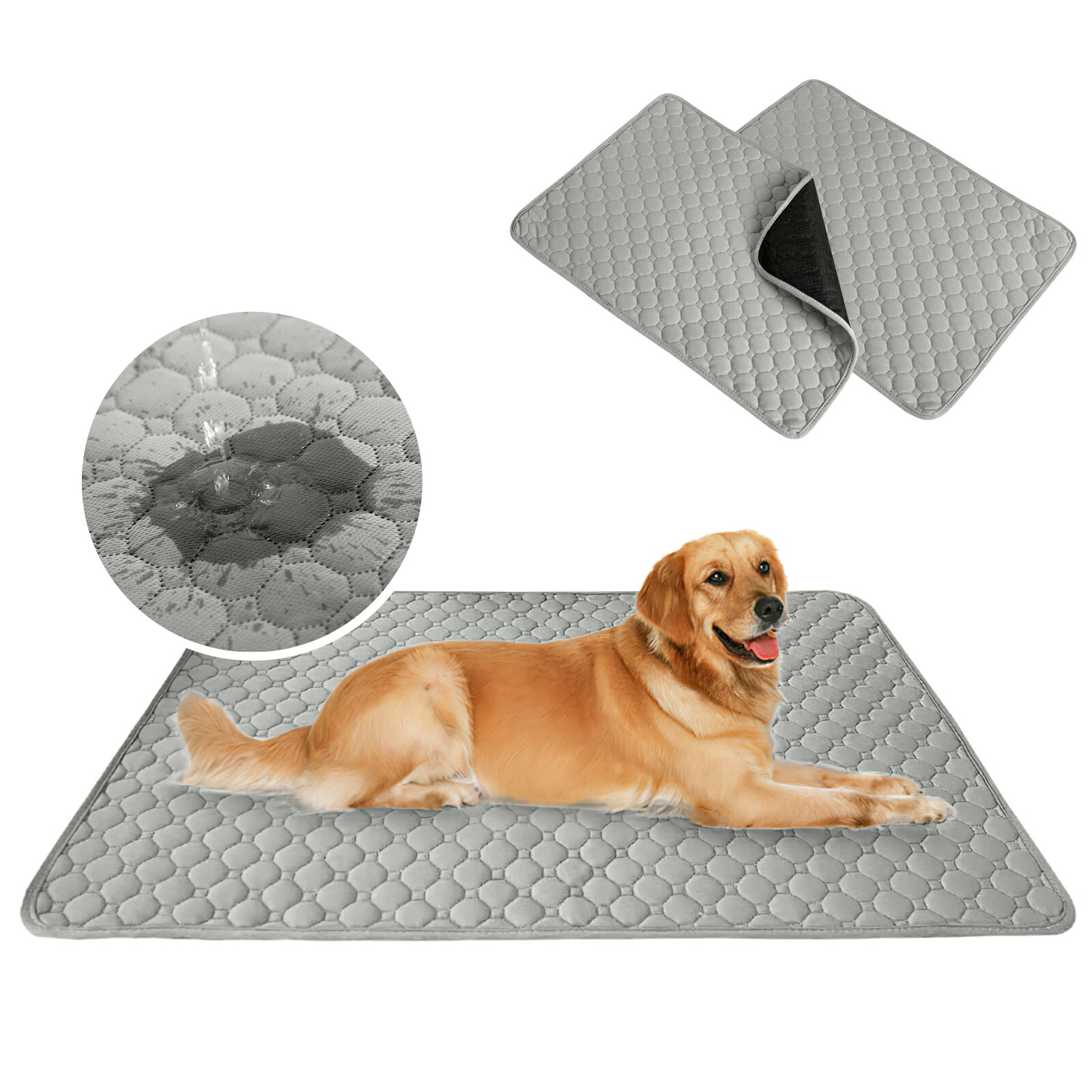 楽天市場】＼☆クーポン利用で10%OFF☆／【2枚セット】ペットシーツ