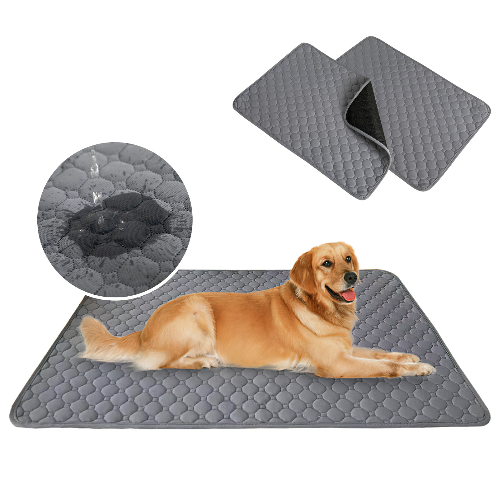 楽天市場】＼☆クーポン利用で10%OFF☆／【2枚セット】ペットシーツ