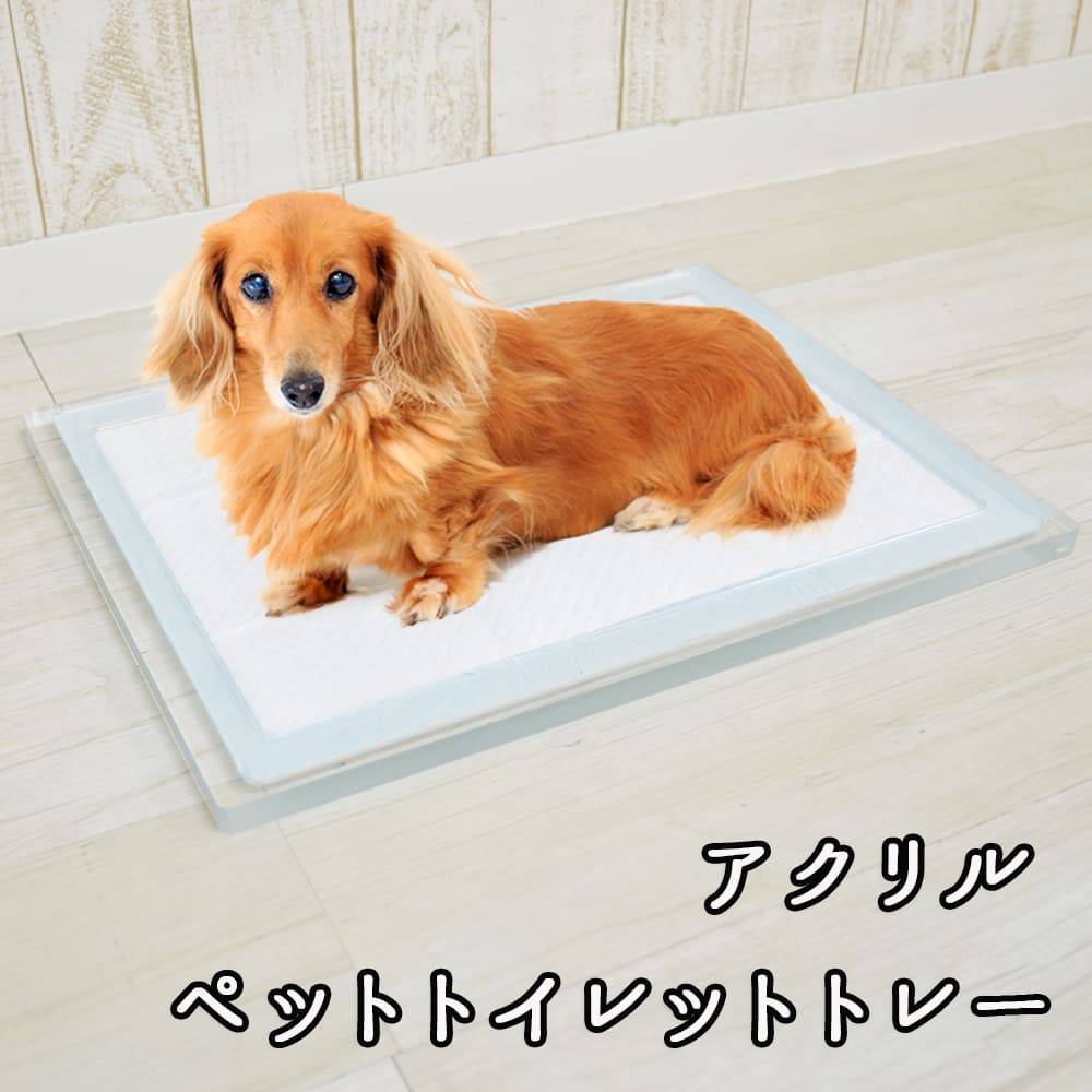 楽天市場】Kuai ペットトイレ トレー 犬 アクリル Sサイズ 犬用トイレ