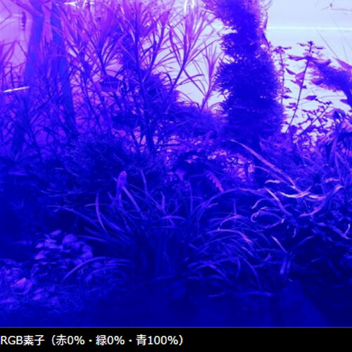 chihiros vivid2 RGBライト アクアリウム 水草