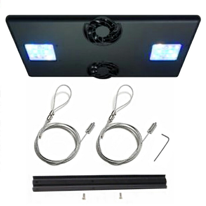 楽天市場】grassy core reefの通販