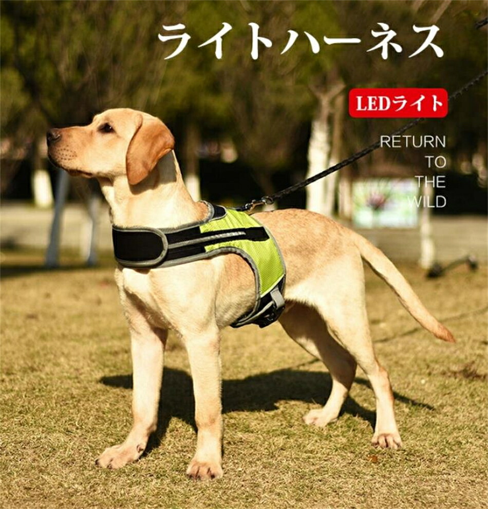 楽天市場】犬用 ハーネス LED 光る 夜間 散歩 雨天使用可能 水洗い