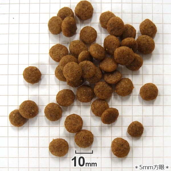 楽天市場】【9】 [正規品] ロイヤルカナン 犬ドライ エクストラ