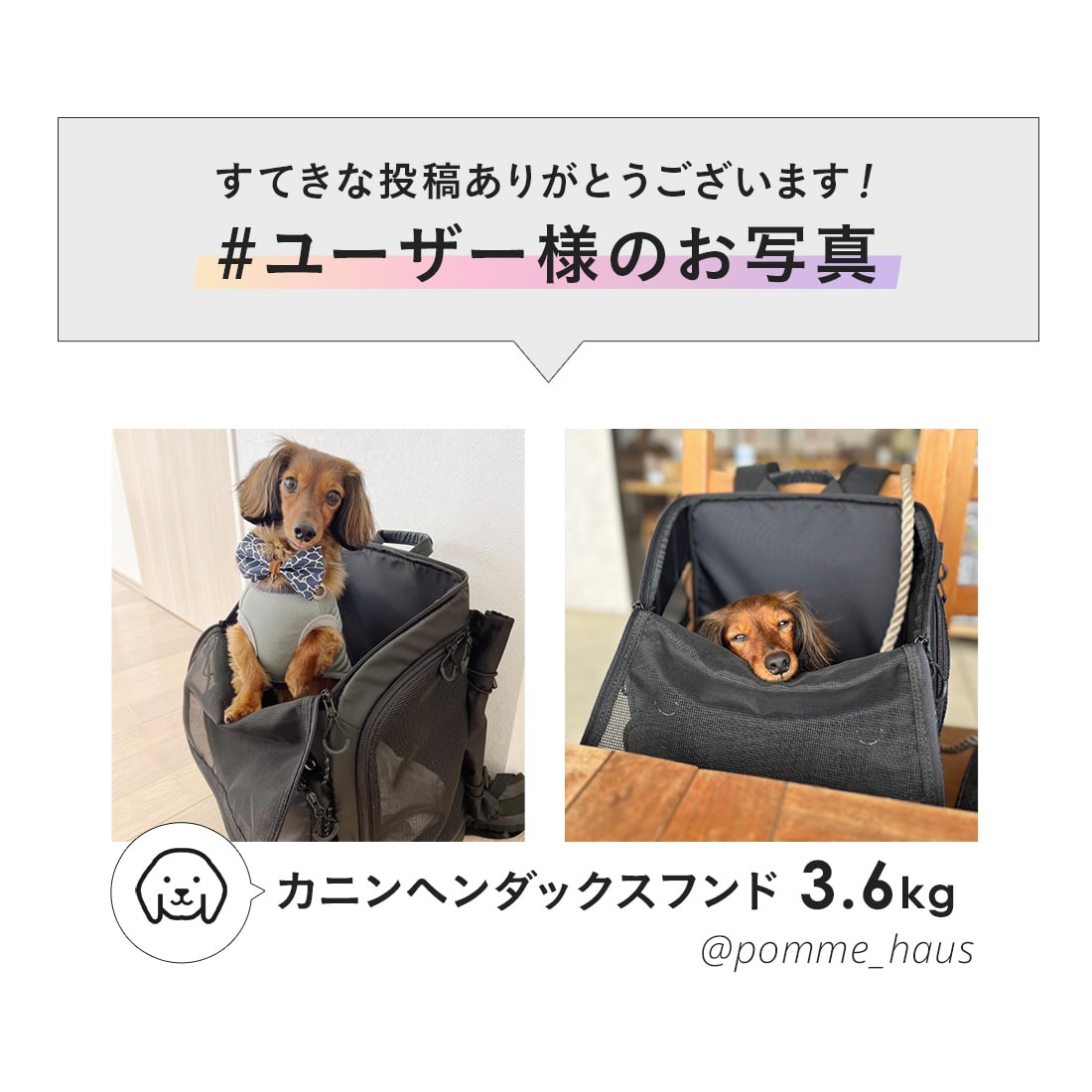 楽天市場】【公式】エアバギー 3ウェイバックパックキャリー