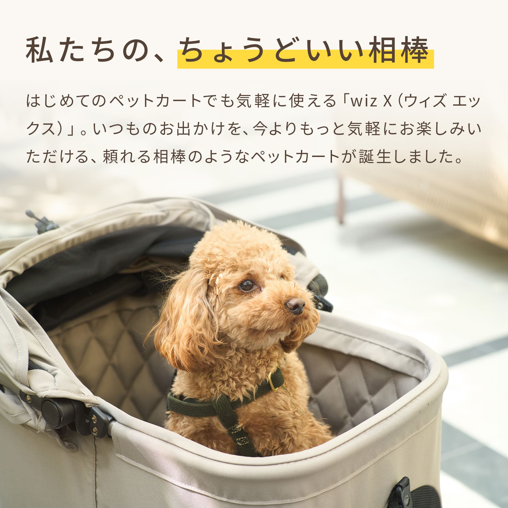 値下げしました☆エアバギーフィット☆人気カラー アースグレー