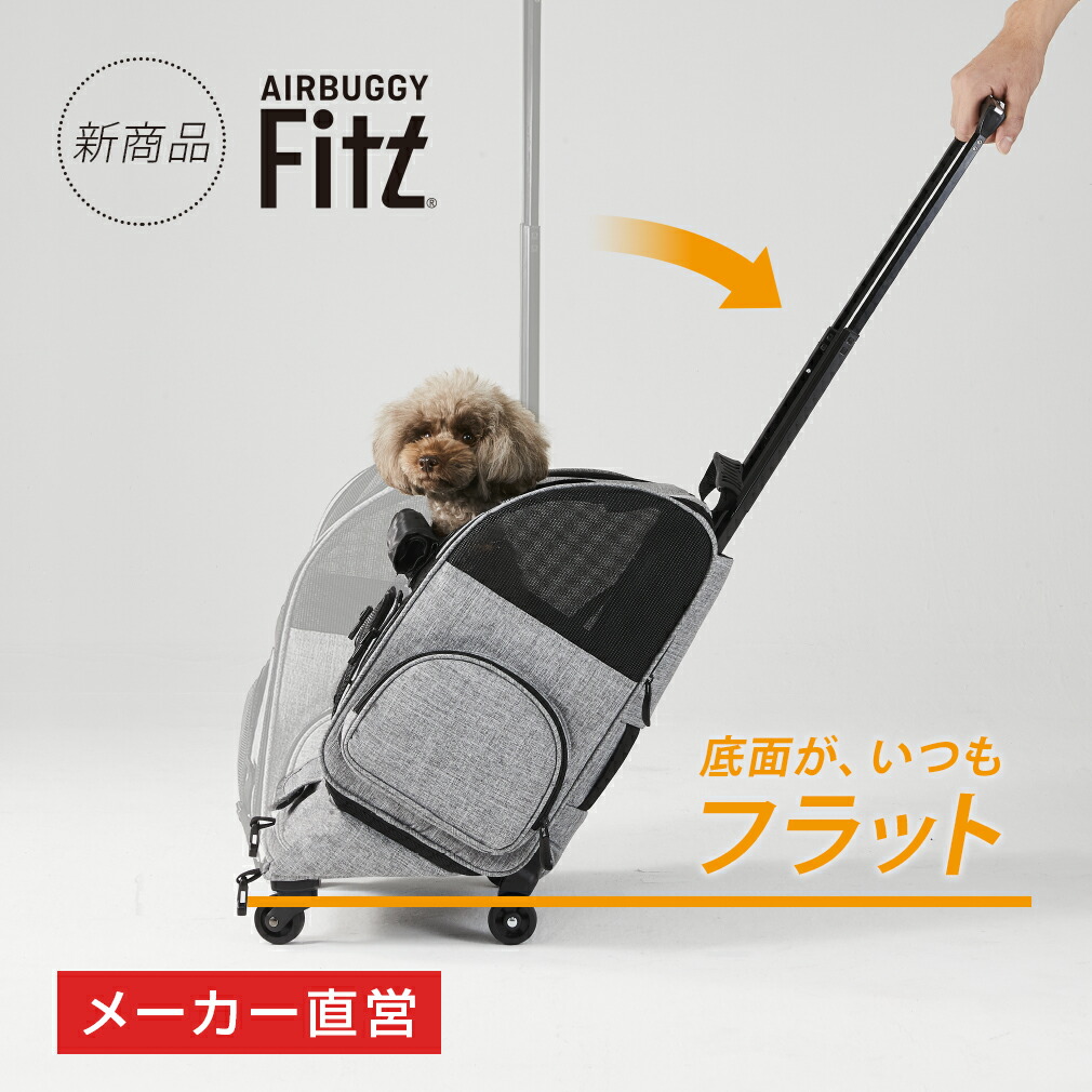 キャリーバッグ・スリング AIRBUGGY Fitz AIRBUGGY Fitz キャリー