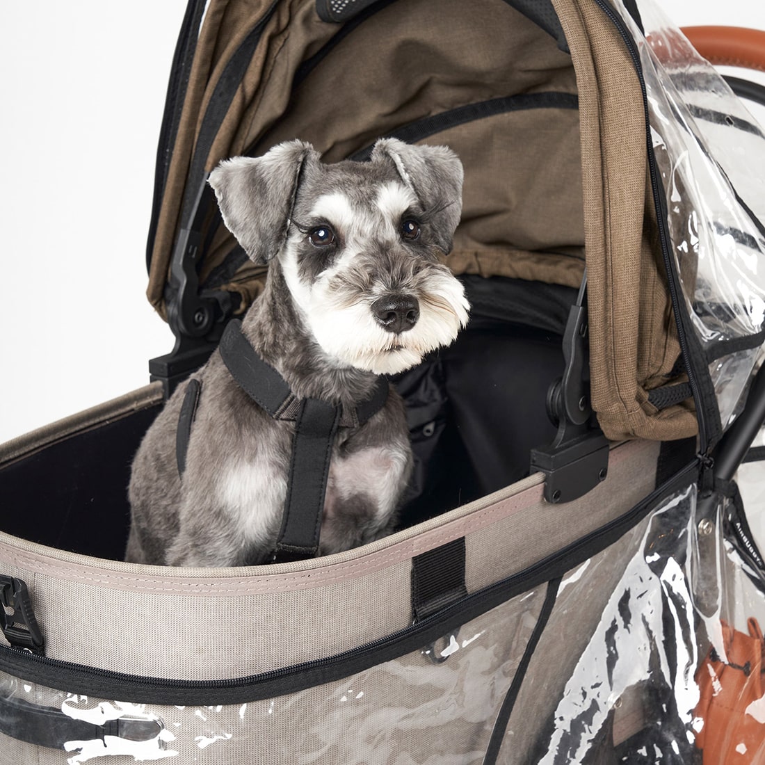 楽天市場】【公式】エアバギー ドーム3 ラージサイズ専用 レインカバー