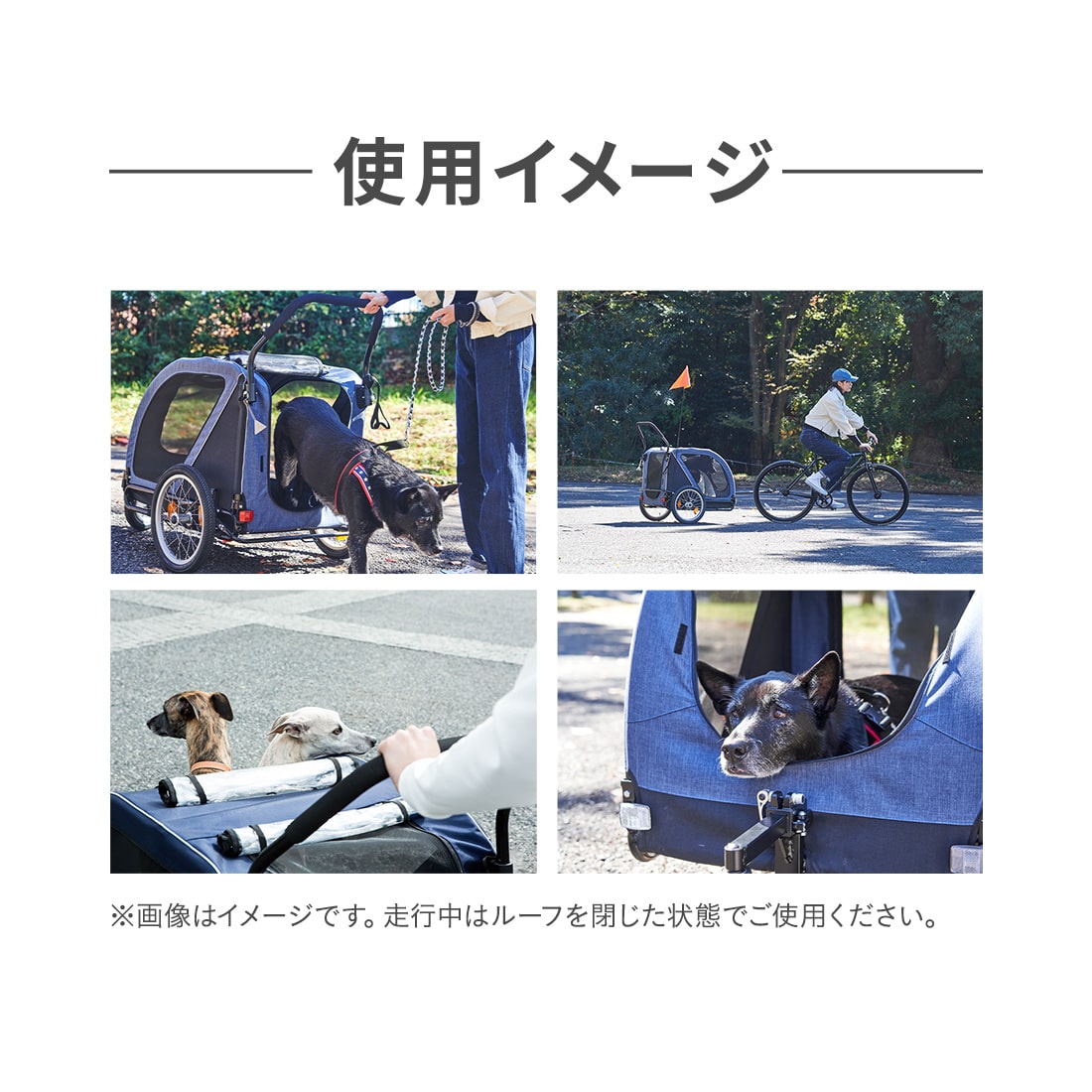 楽天市場】【公式】エアバギー ネストバイク AIRBUGGY NEST BIKE 2年