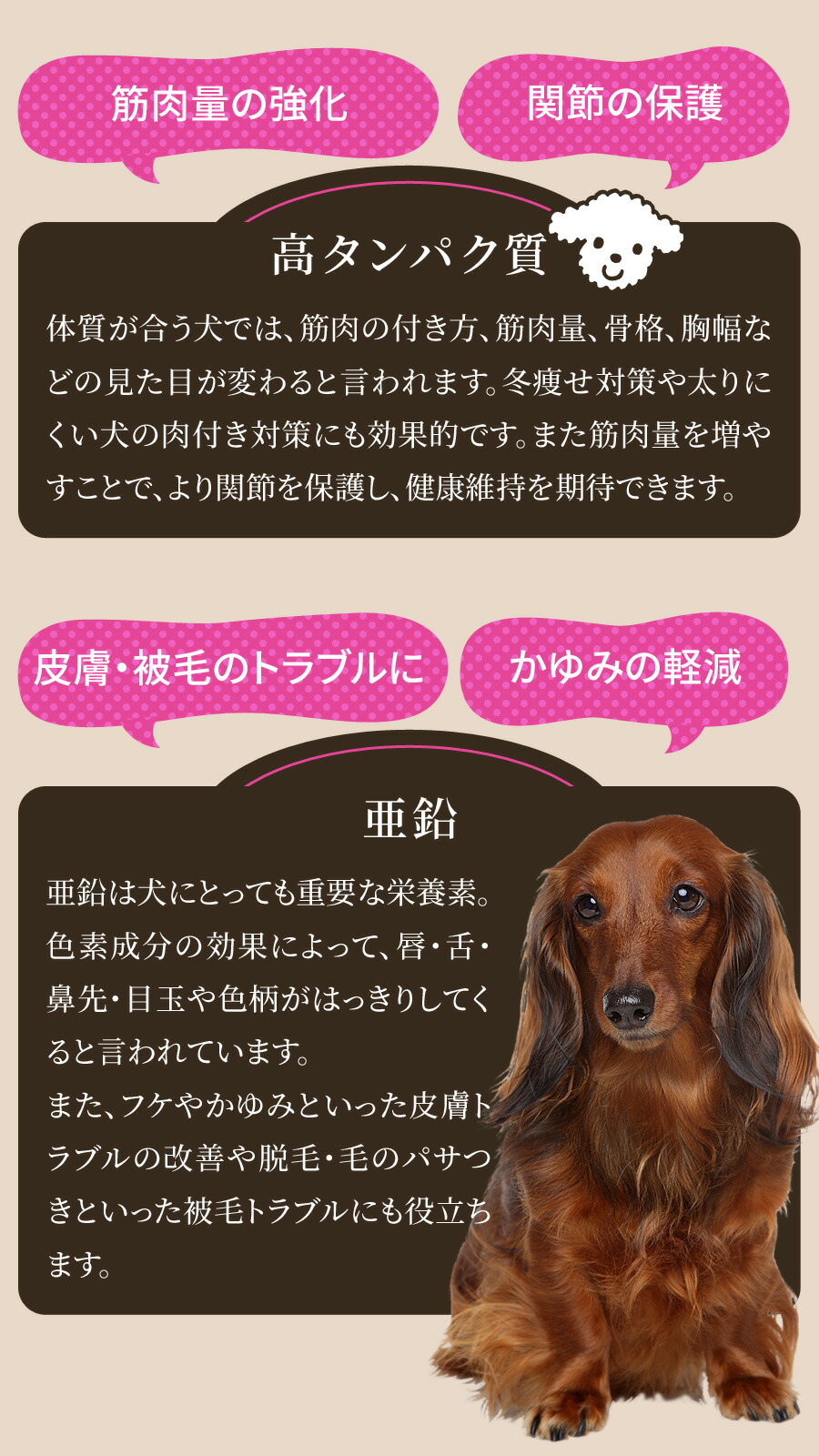 楽天市場】ブラックウッド 1000 20kg（分包4袋入）＋選べるおまけ付き