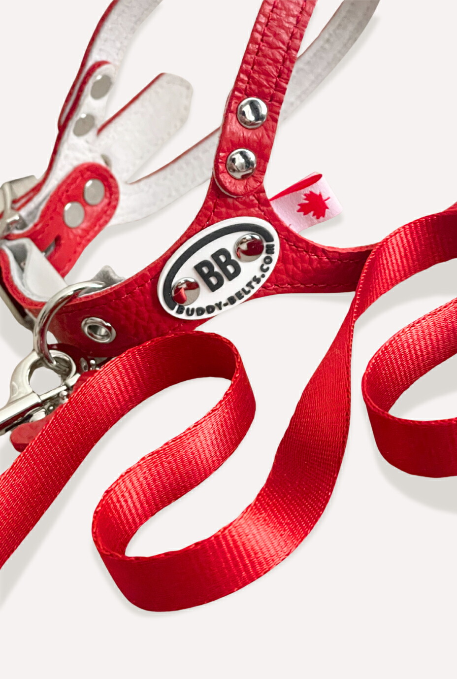 バディベルト BB バハマ 5号 アクセントリード BBアクセントレザー