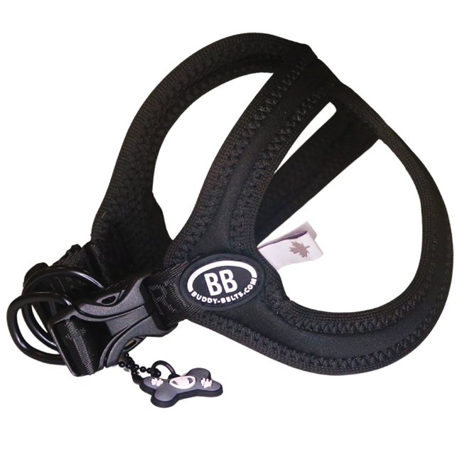 楽天市場】バディーベルト BBスポーツハーネス 2号 小型犬 ペット