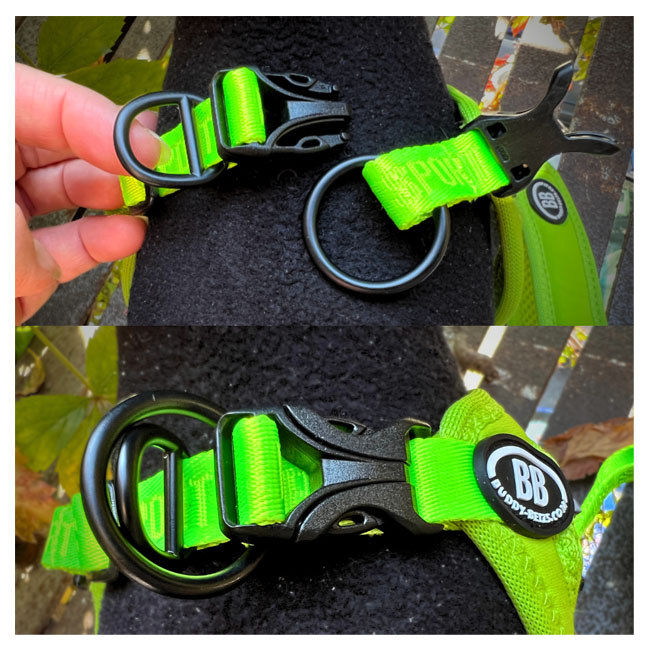 楽天市場】バディーベルト BBスポーツハーネス 6号 小型犬 ペット