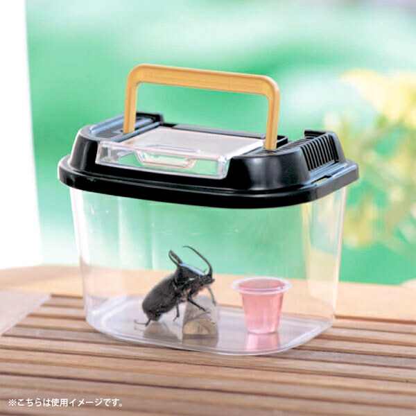 楽天市場】飼育ケース 虫かご 昆虫 アイリス 飼育ランド CY-S