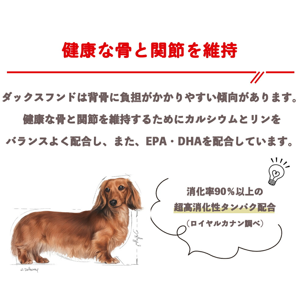 CANIN ダックスフンド 8歳以上 ドライフード 3キロ✖️3袋 ロイヤル