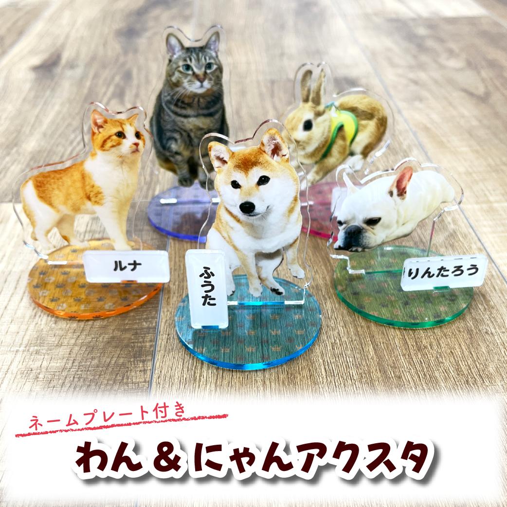 楽天市場】【わん&にゃんアクスタ】 犬 猫 うさぎ インコ ハムスター