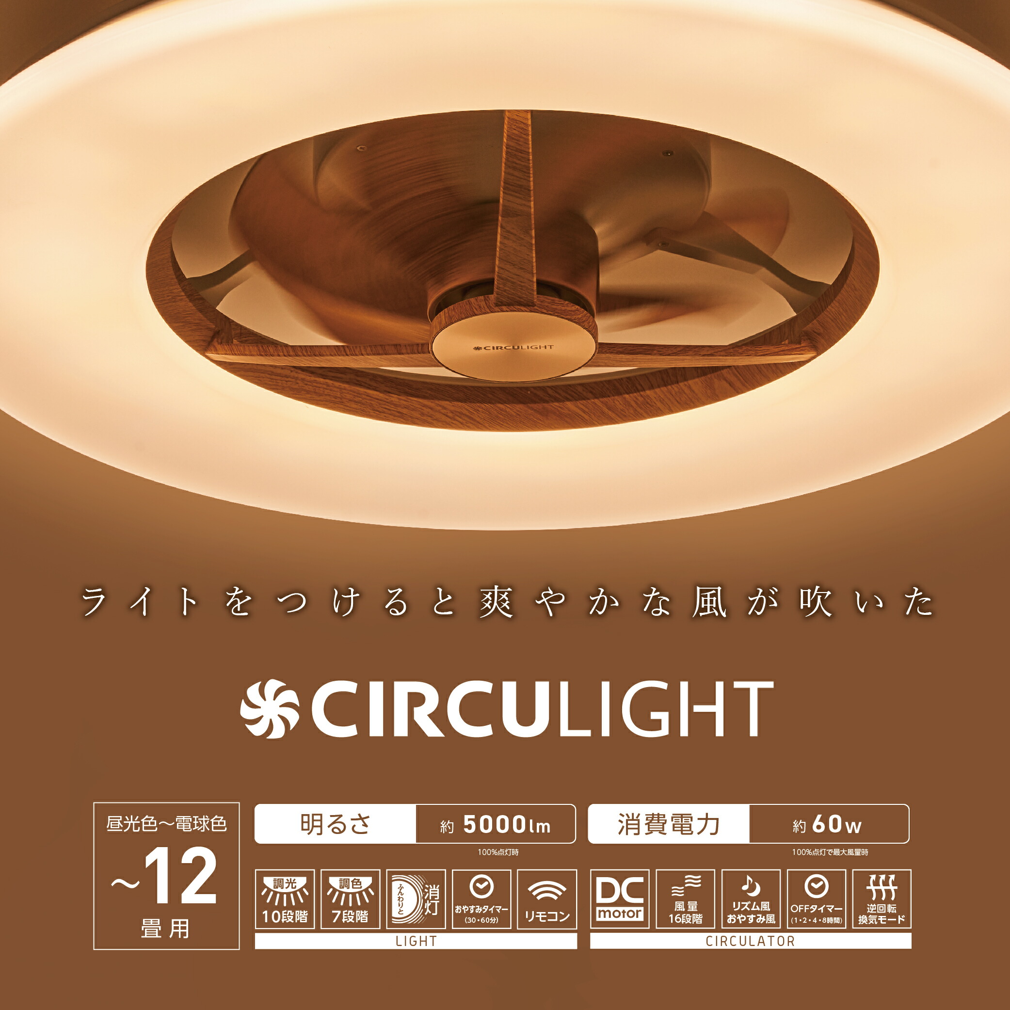 楽天市場】＼ポイント10倍／【公式通販】CIRCULIGHT サーキュライト