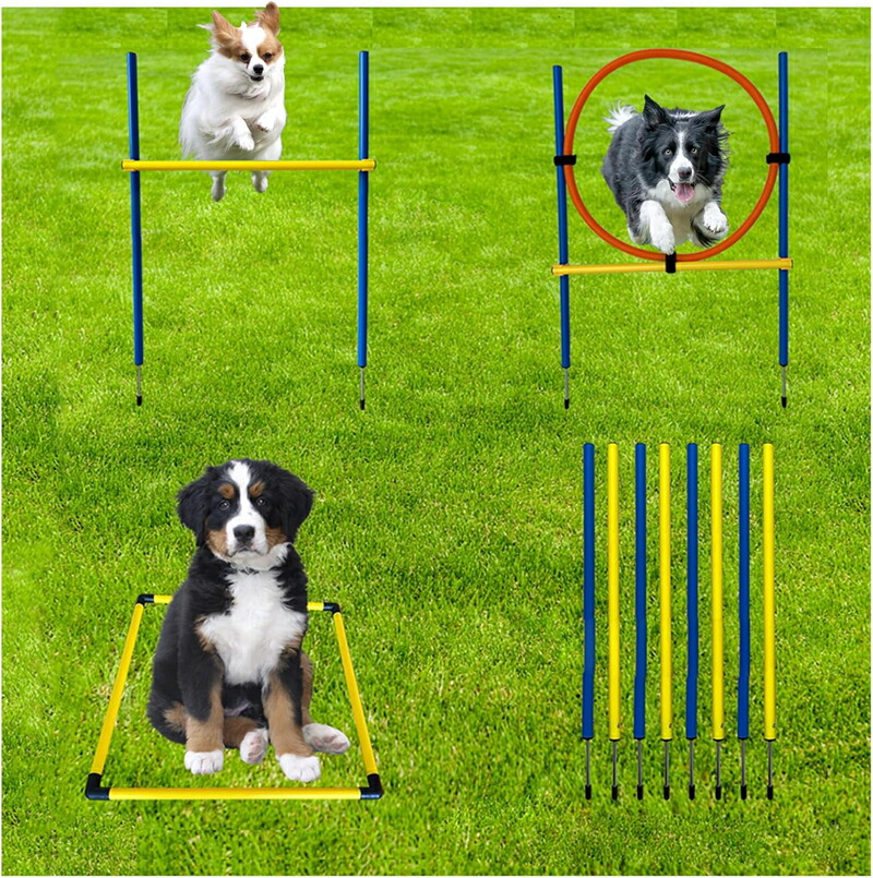 JKC公認訓練士 推奨】犬用 アジリティ スラローム＋ハードル2セット