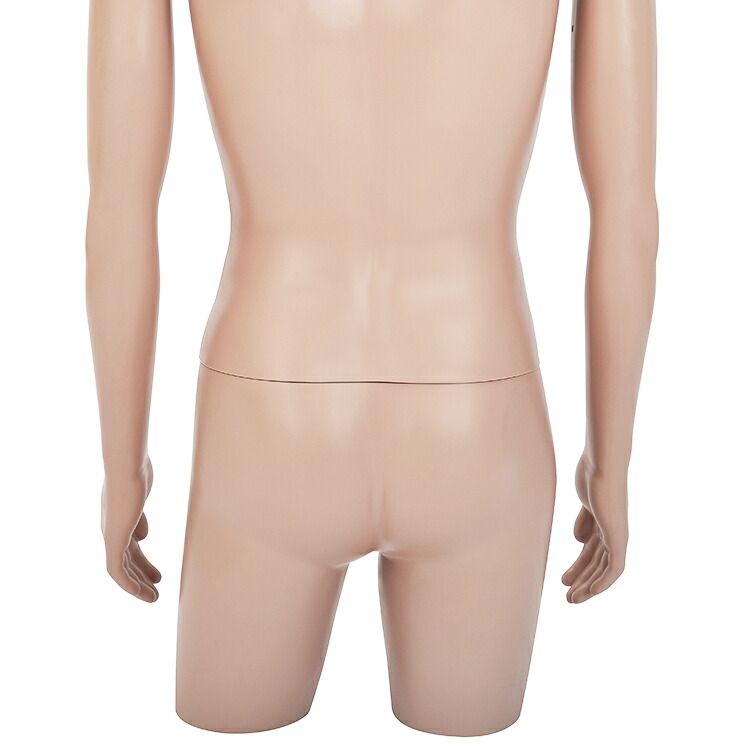 楽天市場】ひざ上トルソー メンズ 高さ115cm 【Y体】 B98×W76×H94cm