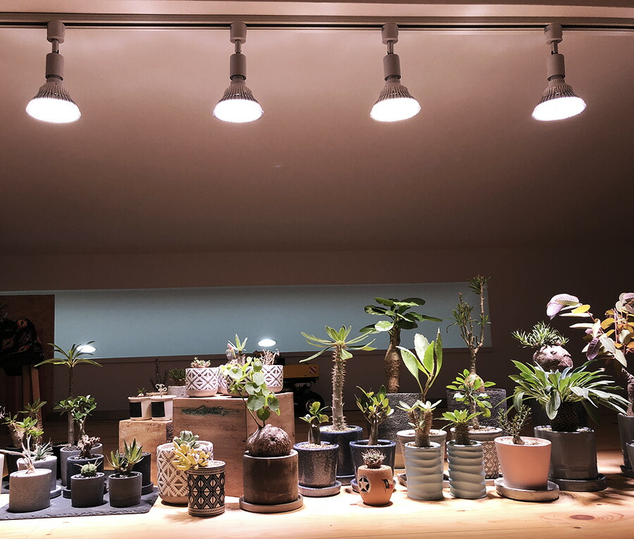 BARREL植物LEDライトクリップセットSUN-18W×E26 PLANT×4