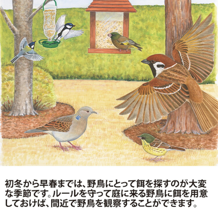 ハル様確認用野鳥のごはん