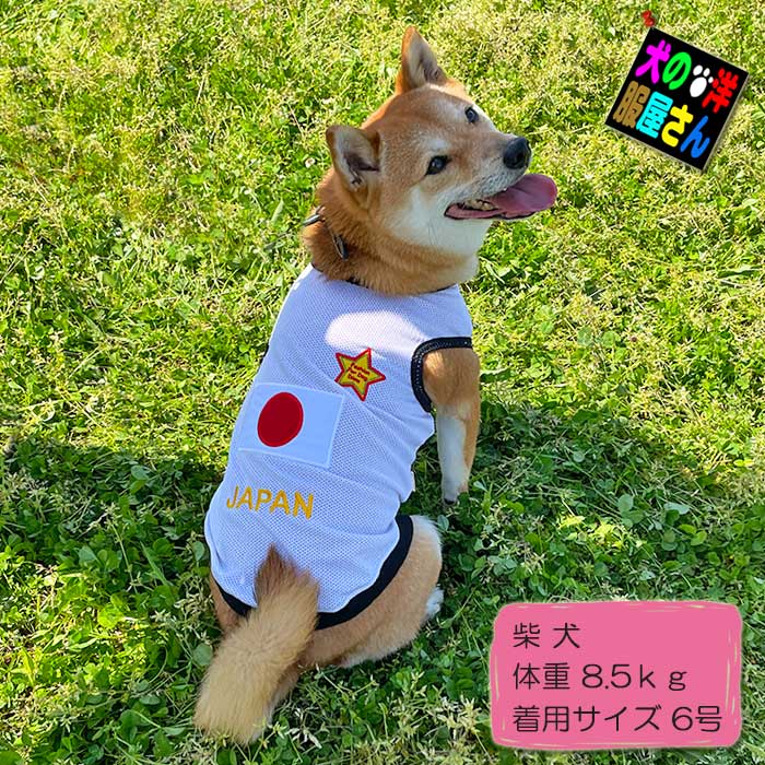 楽天市場】＼本日P2倍+200円OFF／ 【楽天ランキング1位】犬服 JAPAN