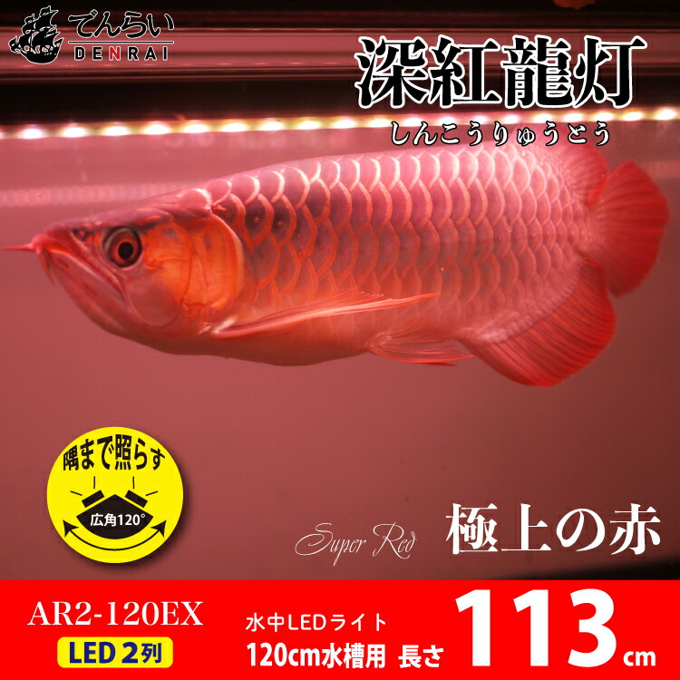 煌 紅龍用水中LEDライト 120cm水槽用 楽天市場】紅龍 スーパーレッド