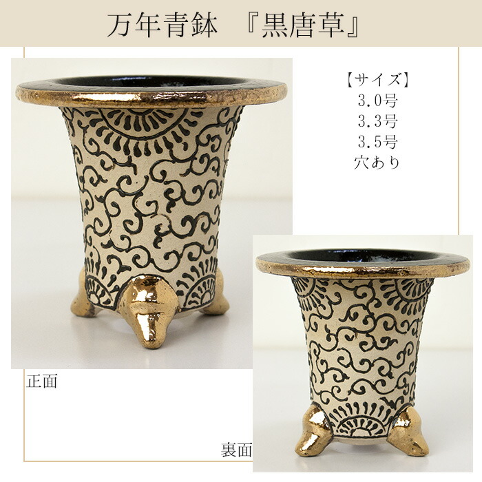 楽天市場】＼楽天ランキング1位／ ◇京楽焼窯元「愛楽園」直送