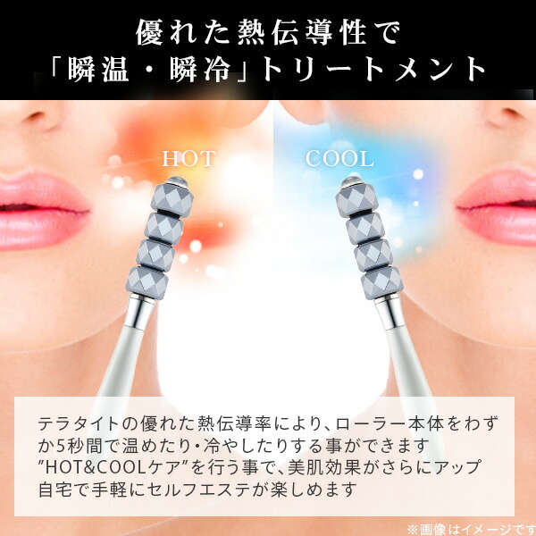 楽天市場】【P10倍 2/10 9:59迄】 テラローラー ミュー テラタイト