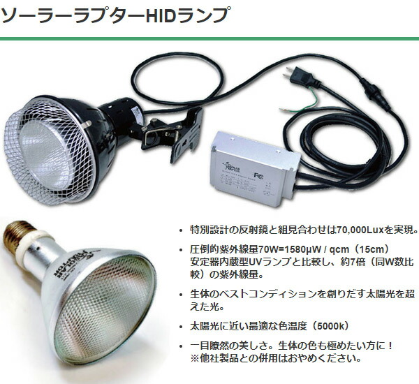 楽天市場】SOLAR RAPTOR HIDランプ 70W ソーラーラプター ソーラー