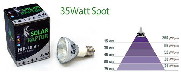 楽天市場】SOLAR RAPTOR HIDランプ 35W ソーラーラプター ソーラー