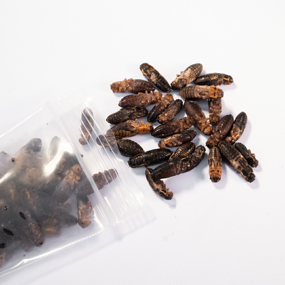 冷凍イエコML1kg+クロコML〜L300g 冷凍イエコML1kg+クロコML〜L300g