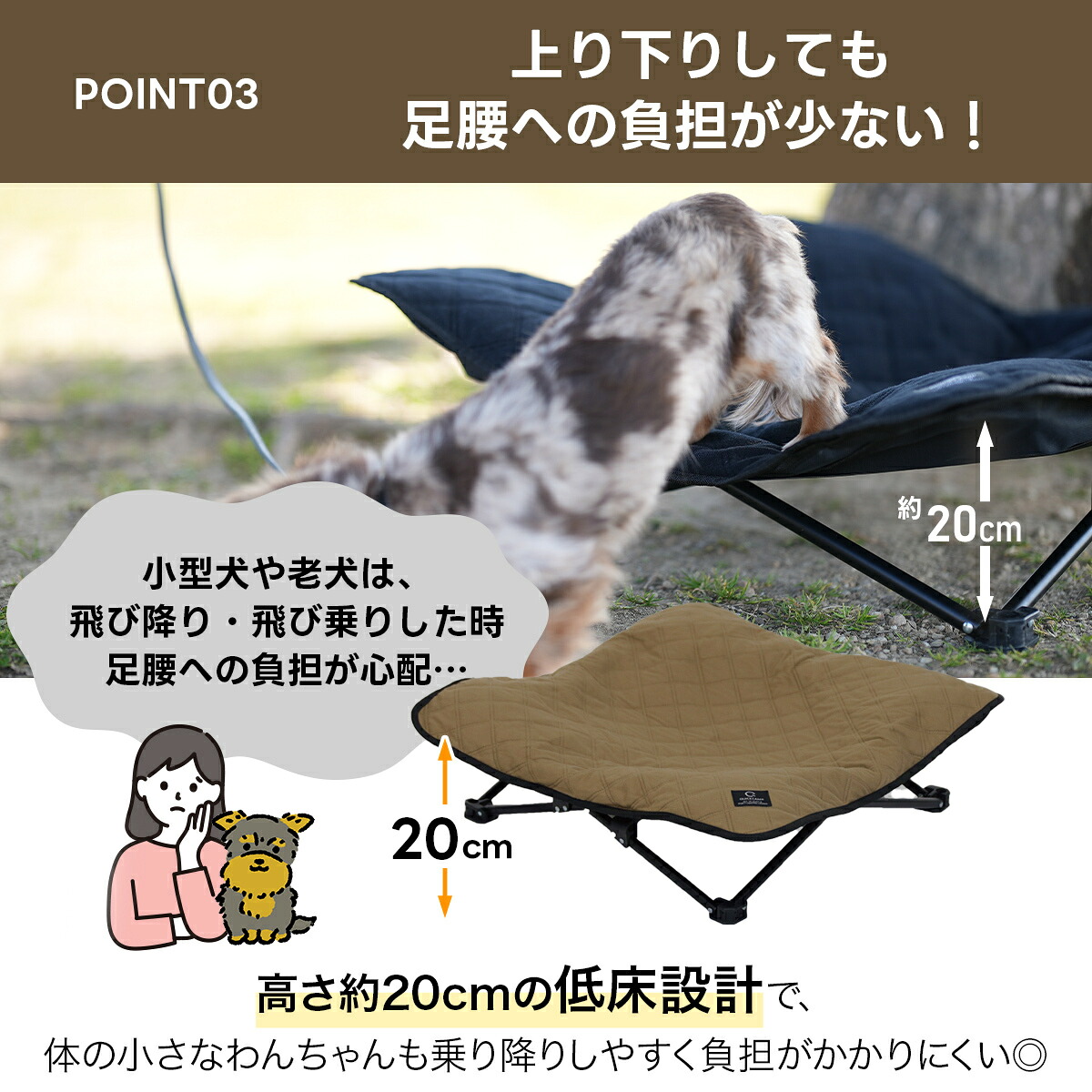楽天市場】☆10%OFFクーポン 2/8〜2/10☆【楽天1位】 犬用ベッド