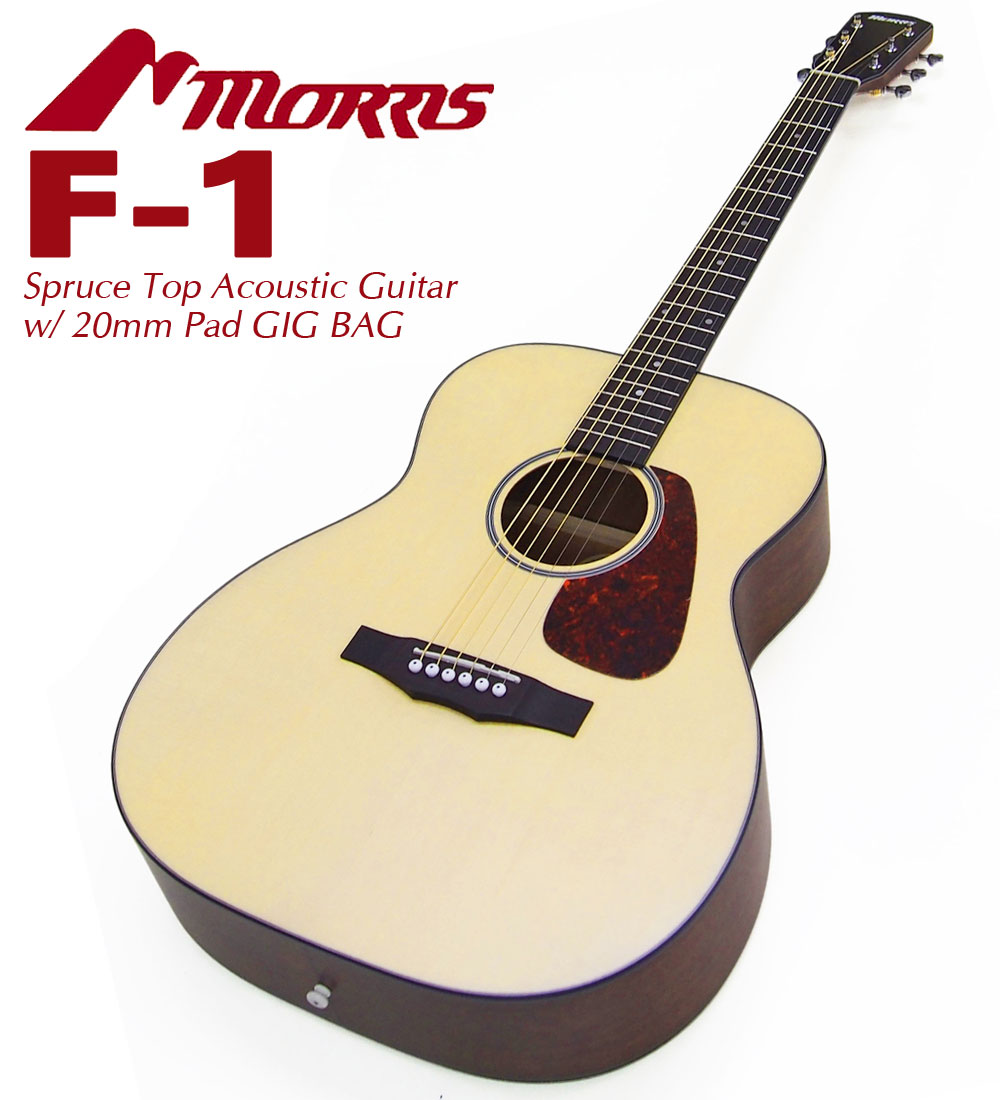 Morris M-501 アコースティックギター アコギ ギター ヴィンテージモ