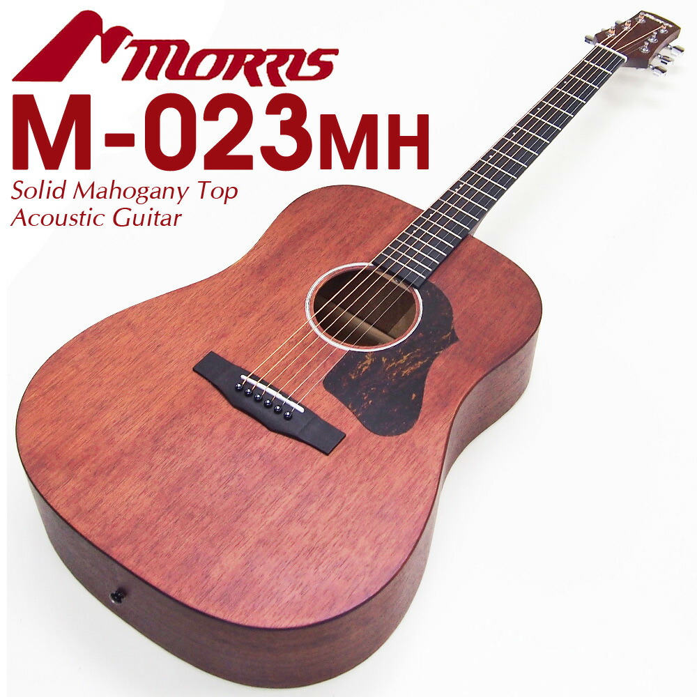 Morris M-501 アコースティックギター アコギ ギター ヴィンテージモ