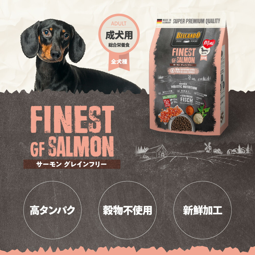 楽天市場】☆BELCANDO ベルカンド アダルト サーモン グレインフリー